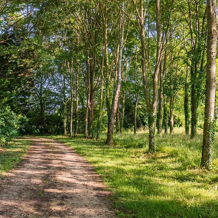 بيت للعطل Maison 